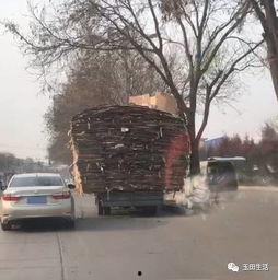 玉田2023年最新网友爆料,网友爆料揭示最新动态与热点事件 第1张 玉田2023年最新网友爆料,网友爆料揭示最新动态与热点事件 第1张