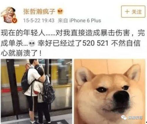 老狗网红爆料视频,揭秘娱乐圈幕后真相 第3张 老狗网红爆料视频,揭秘娱乐圈幕后真相 第3张